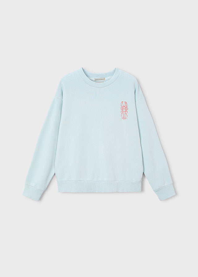 Boston Kids Jungen Sweatpullover 6420 – hellblau