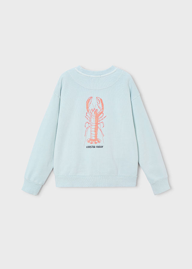 Boston Kids Jungen Sweatpullover 6420 – hellblau