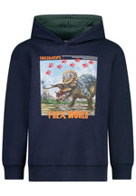 Salt & Pepper Jungen Sweatshirt Boys Hoody Triceratops + Steps 35811701