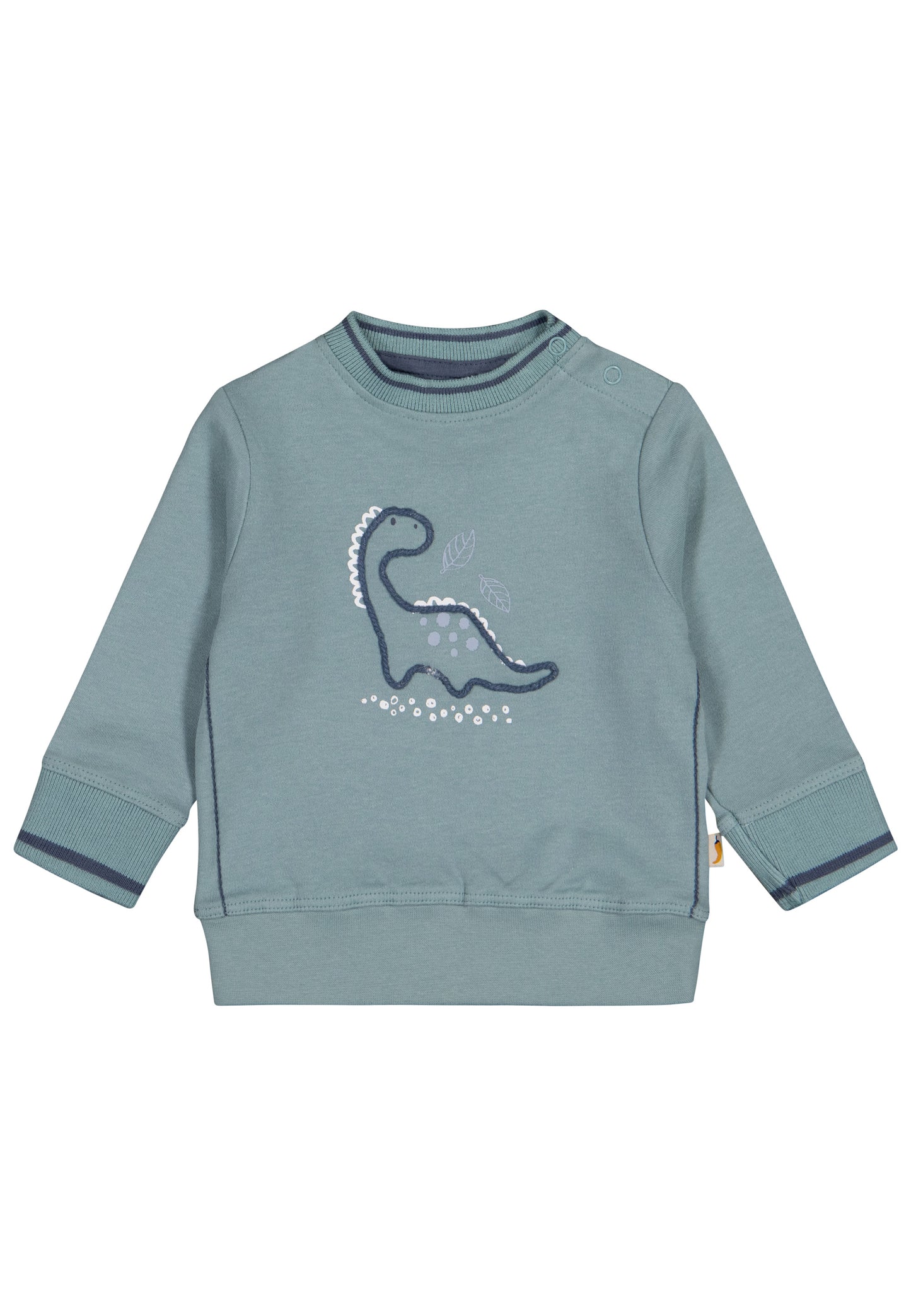 Salt & Pepper Sweatshirt Baby Boys Sweat EMB Dino