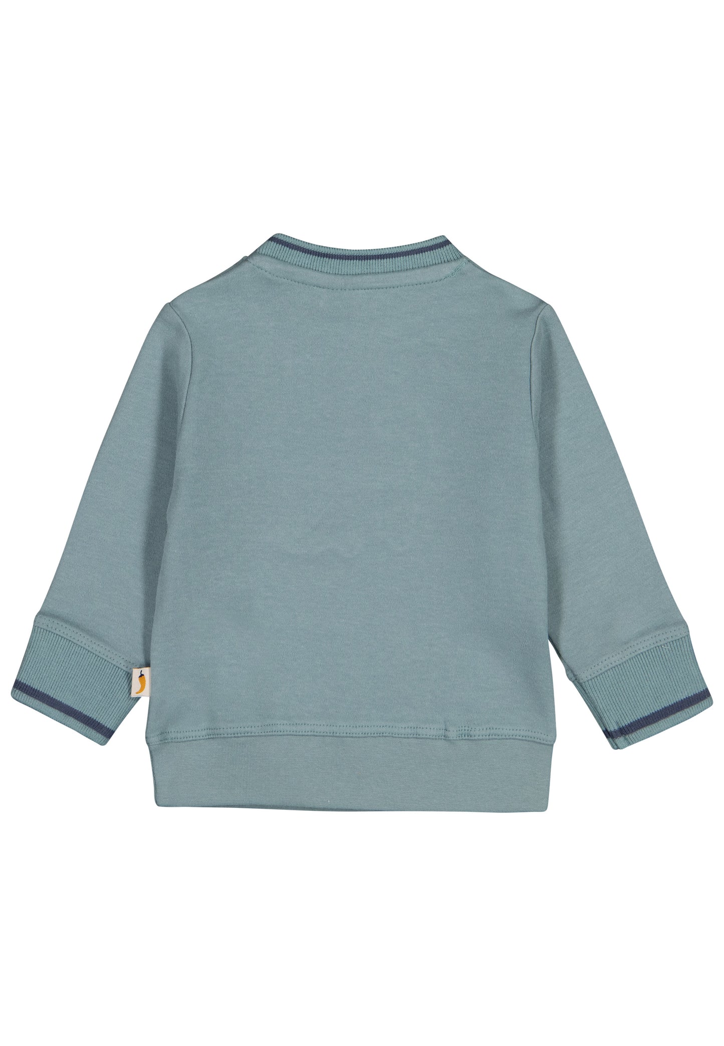 Salt & Pepper Sweatshirt Baby Boys Sweat EMB Dino