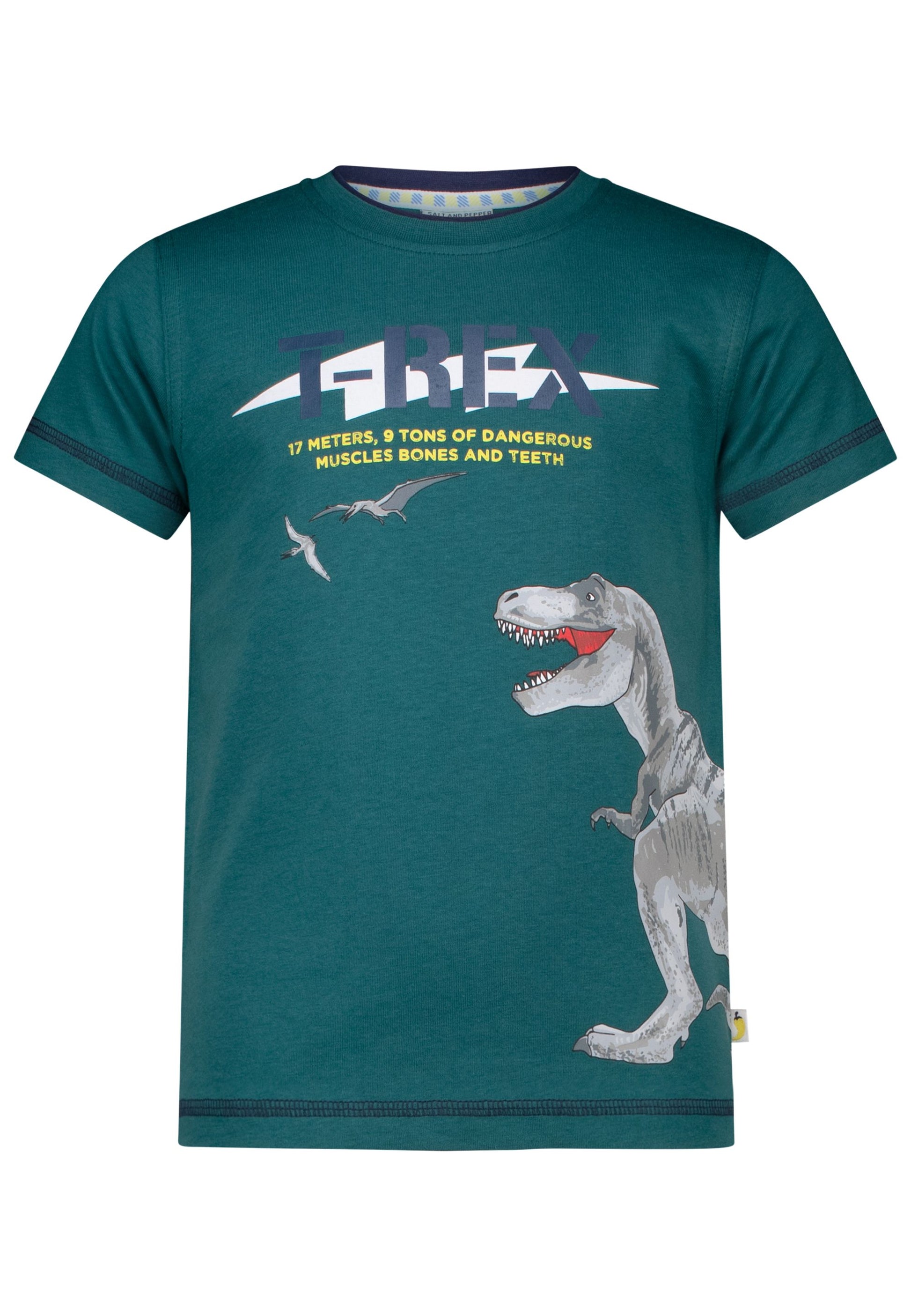 salt and pepper Boys T-Shirt Print T-Rex 55320127480