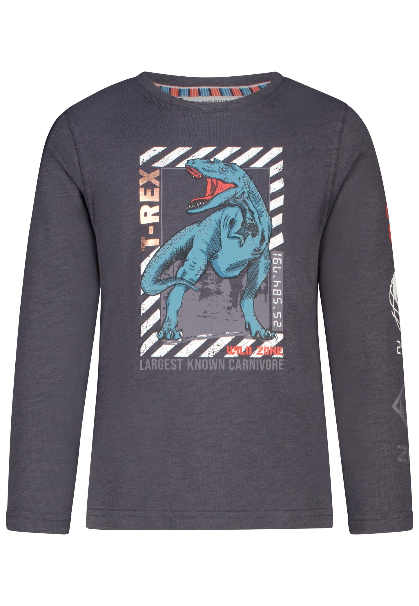 salt and pepper Jungs Longsleeve T-Rex 55520137760