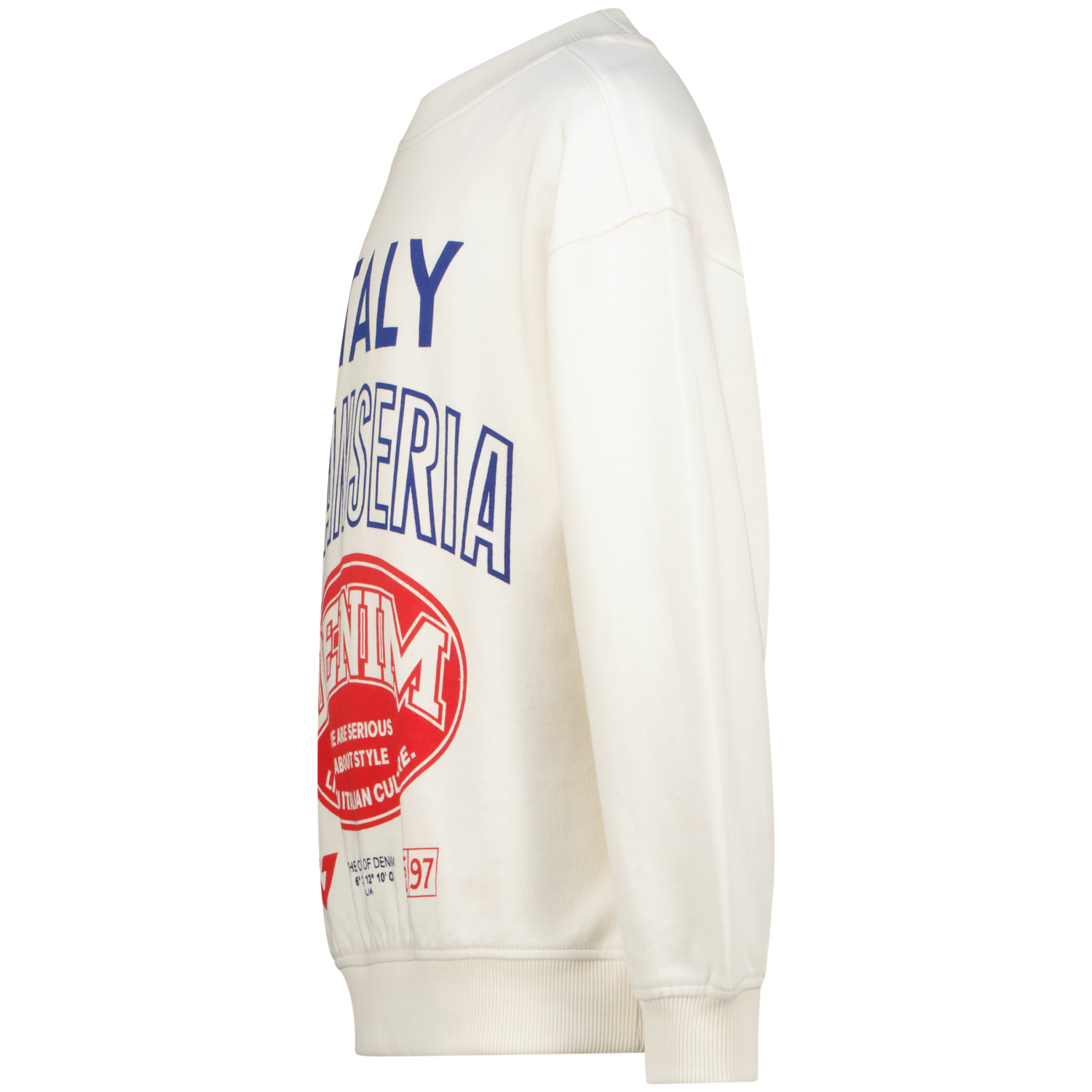 Vingino Jungen Sweatpullover Nare