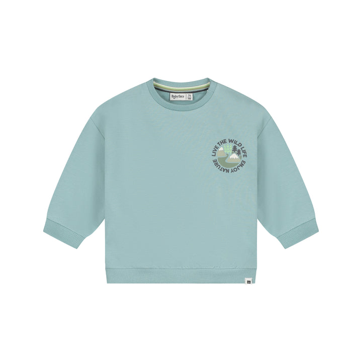 Babyface Baby-Jungen Strickjacke BBE26427457 – sky