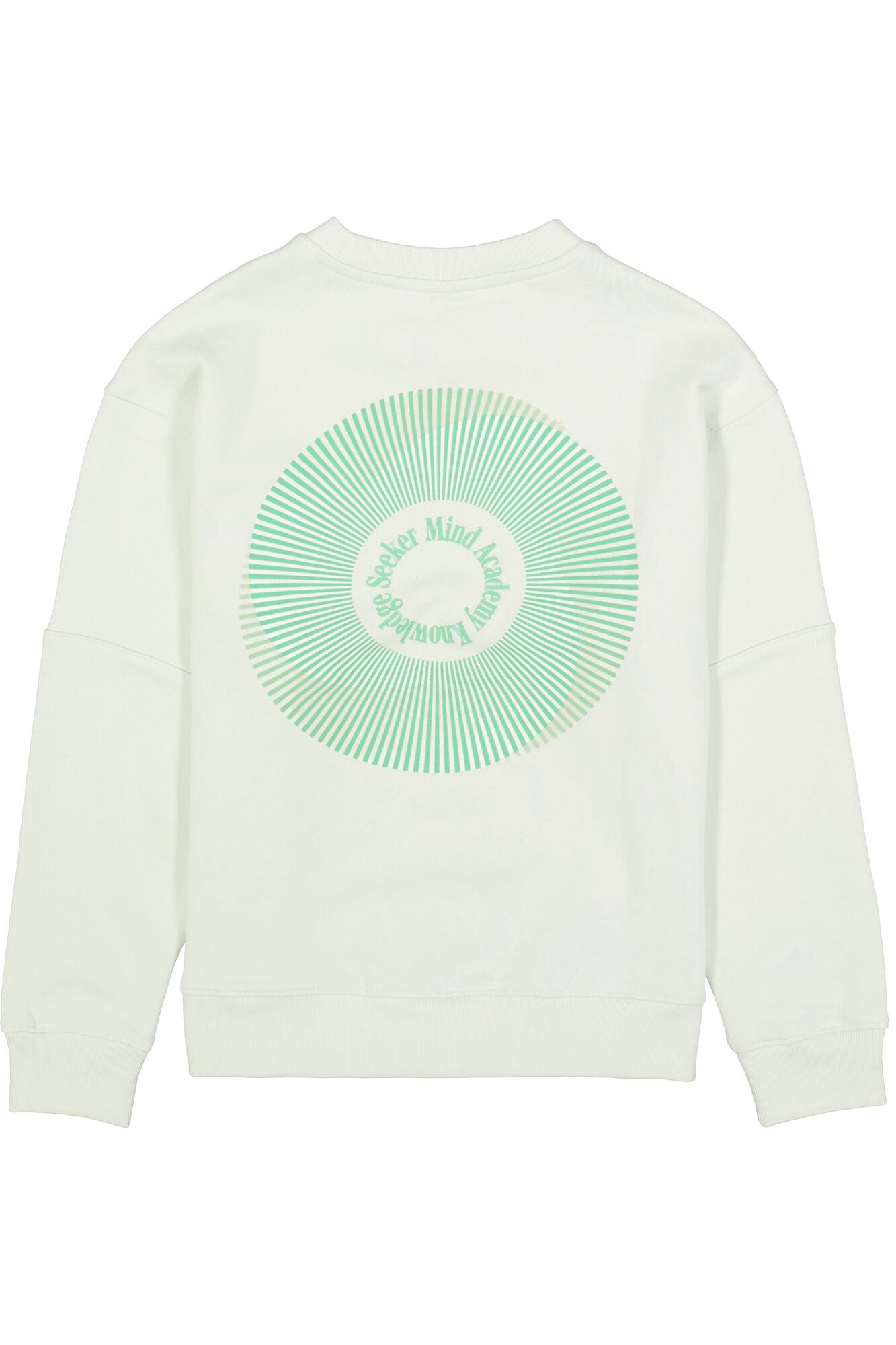 Garcia Jungen Sweatshirt M263460 – milky green