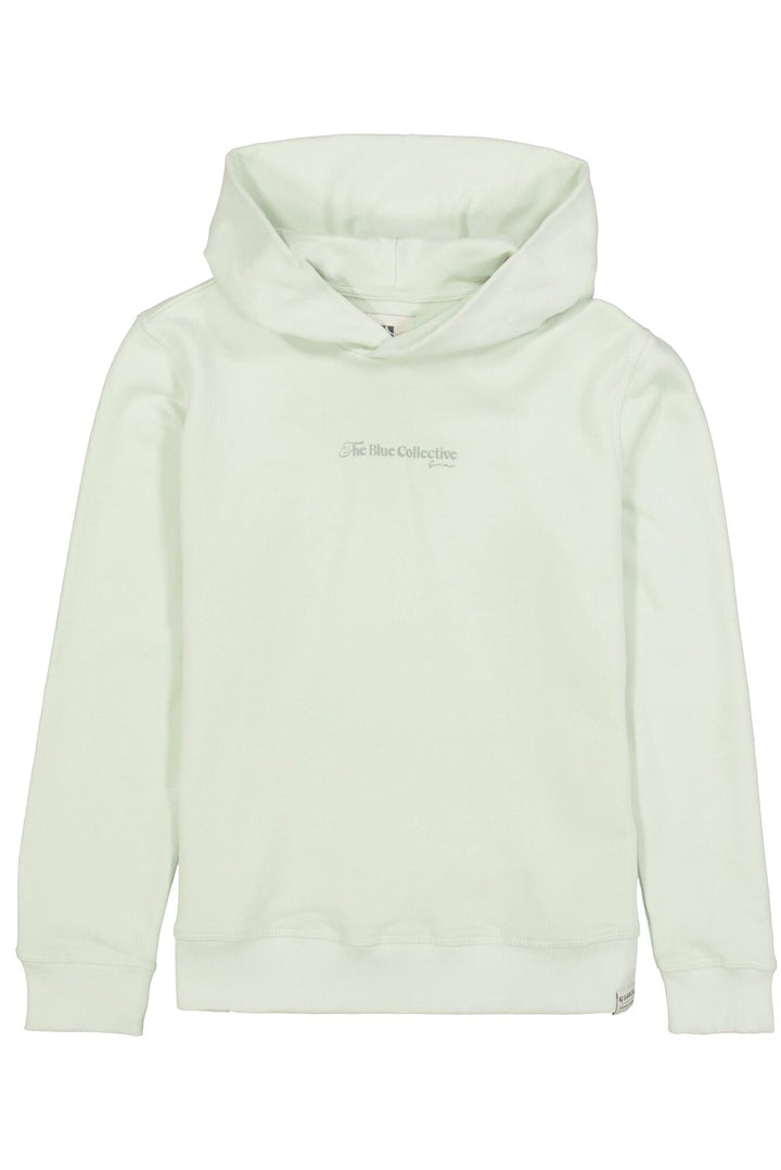 Garcia Jungen Sweatshirt M263461 – milky green