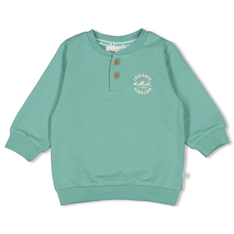 Baby Jungen Pullover