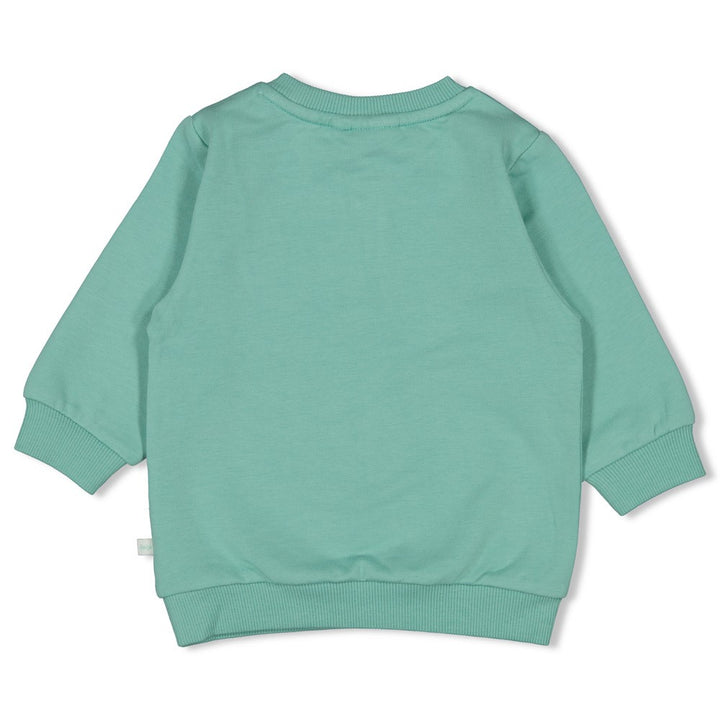 Feetje Baby Jungen Sweater 51602757 – aqua