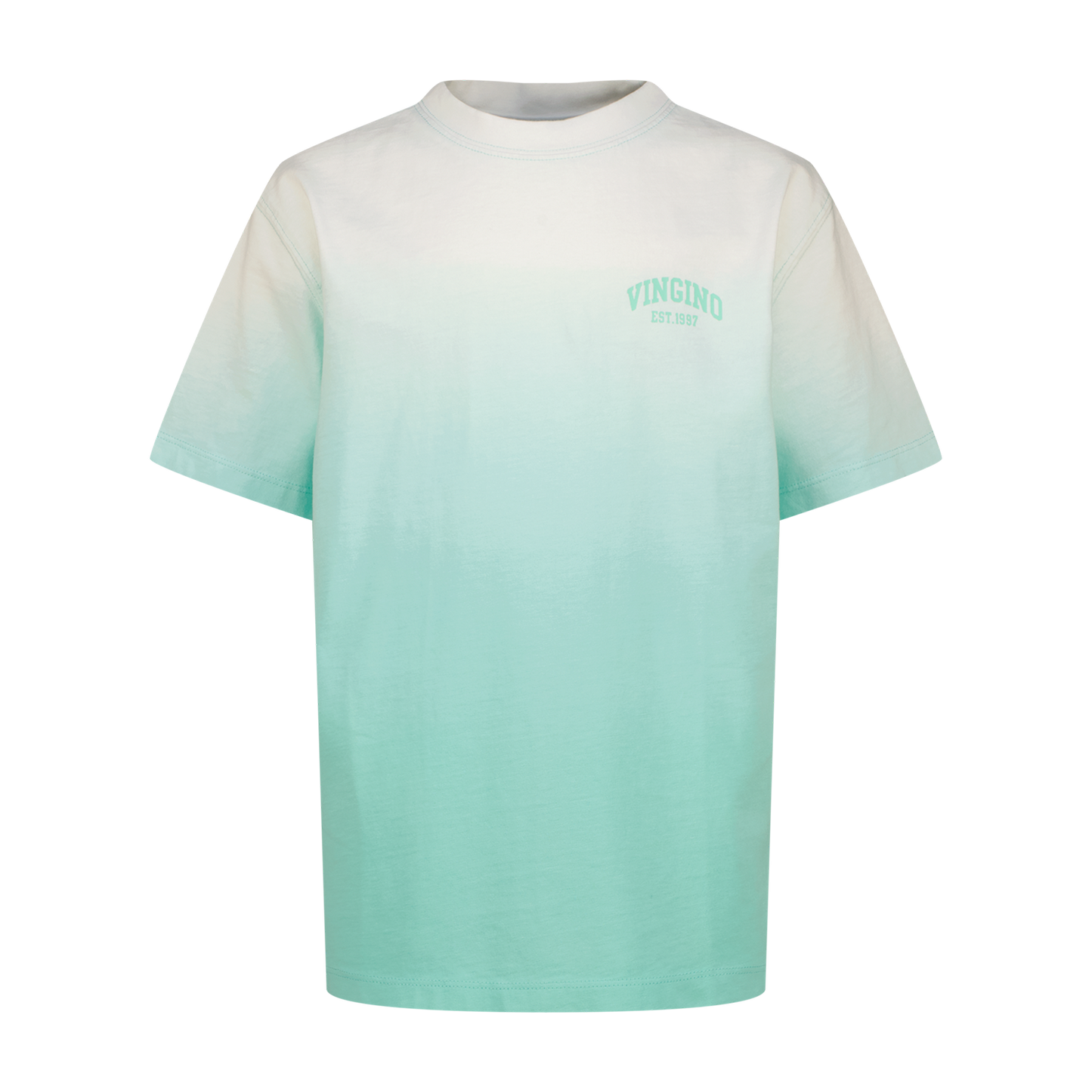 Vingino Jungen T-Shirt Icon-dye-SS