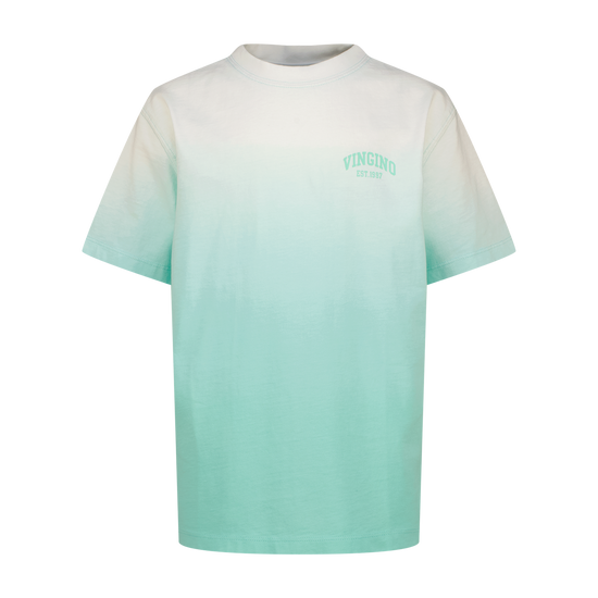Vingino Jungen T-Shirt Icon-dye-SS