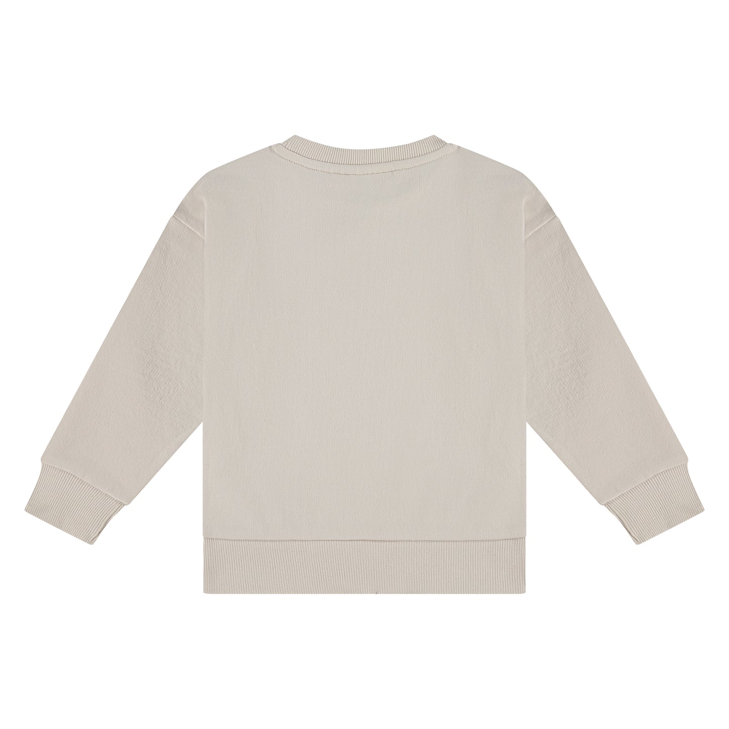 Stains and Stories Boys Sweatshirt SSA25107405