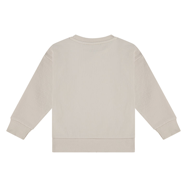 Stains and Stories Boys Sweatshirt SSA25107405