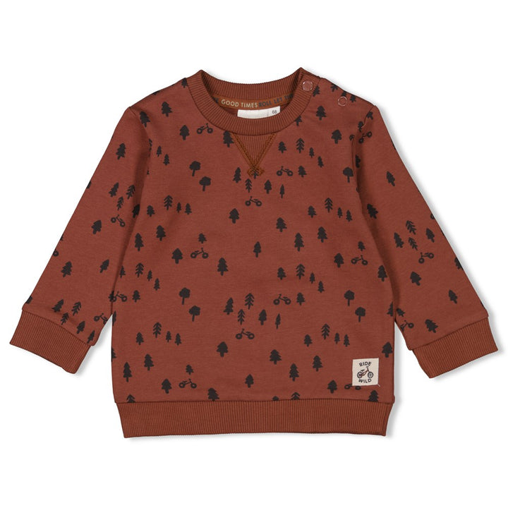 Feetje Baby Boys Sweater AOP Wild Ride 51602248