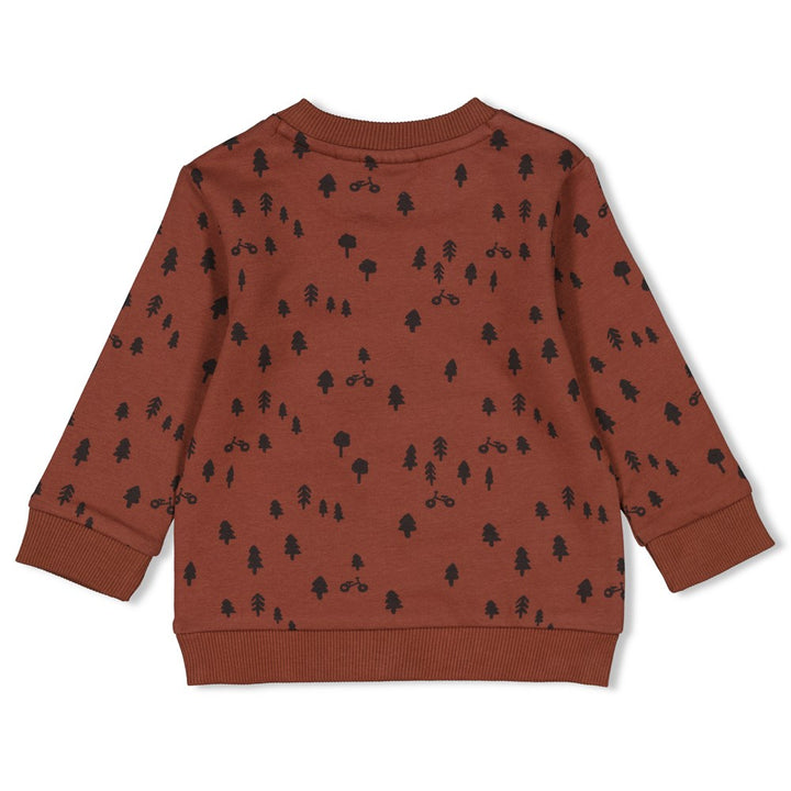 Feetje Baby Boys Sweater AOP Wild Ride 51602248