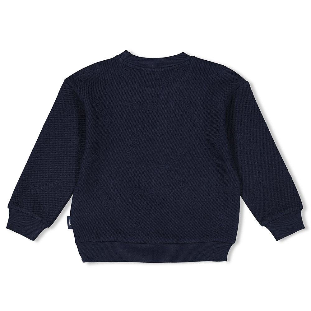 Sturdy Boys Sweater - Coastal Cool 71600584