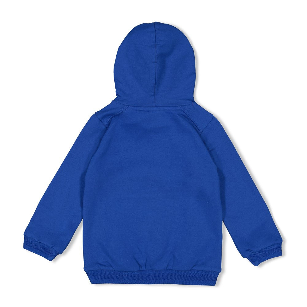 Sturdy Jungs Hoody - Chasing Trails 71600628
