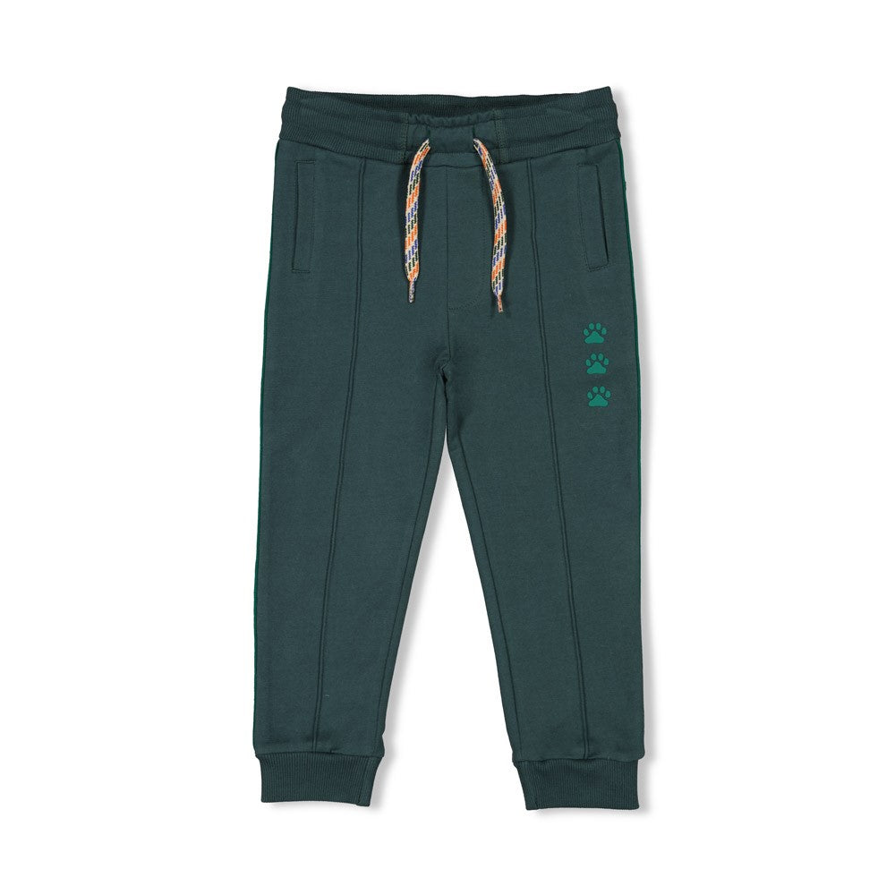 Sturdy Jungs Hose - Chasing Trails 72200243