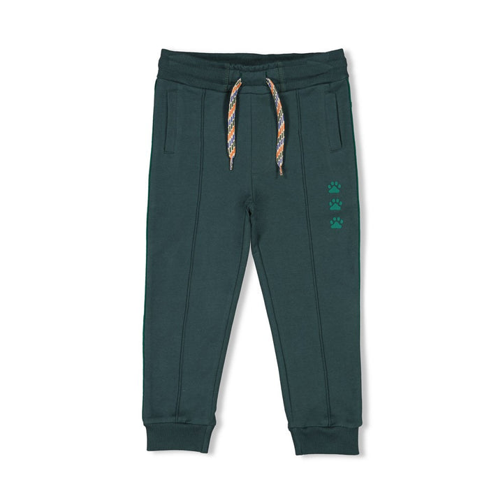 Sturdy Jungs Hose - Chasing Trails 72200243
