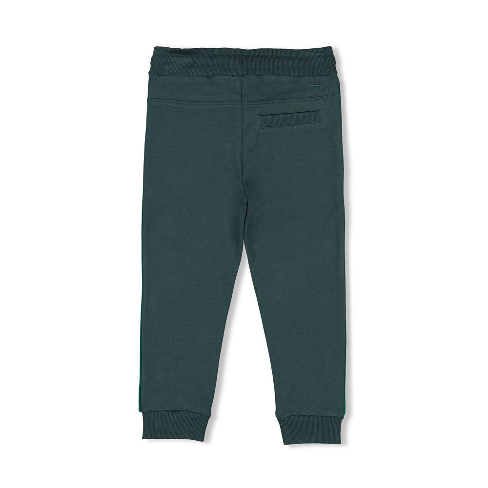 Sturdy Jungs Hose - Chasing Trails 72200243