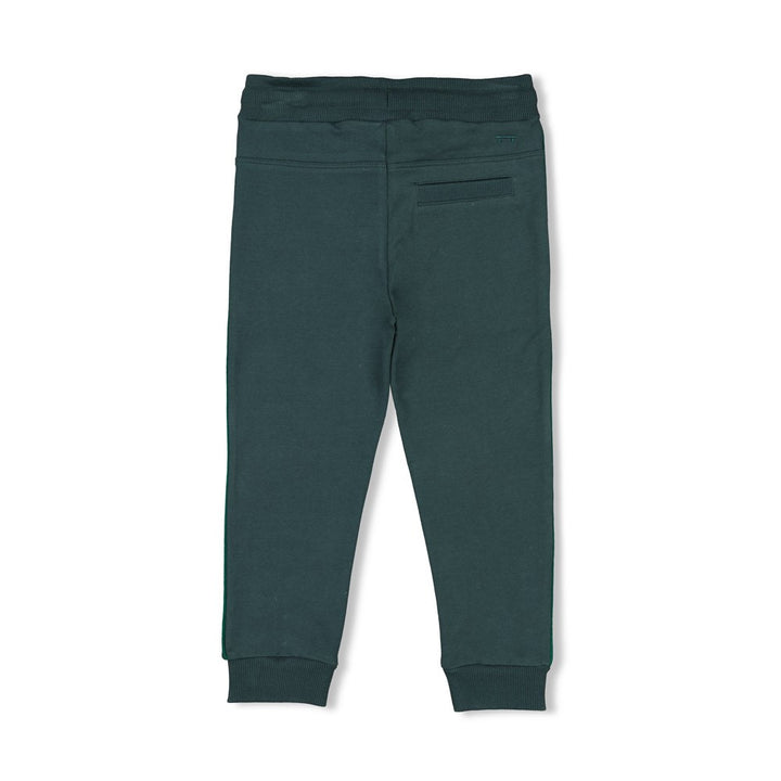 Sturdy Jungs Hose - Chasing Trails 72200243