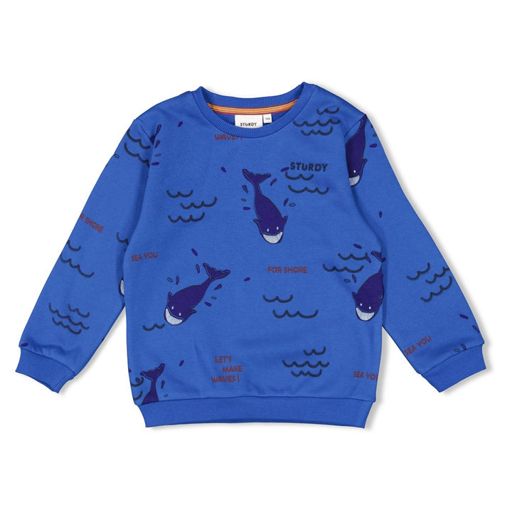 Sturdy Jungs Sweater AOP - Waves and Whales 71600646