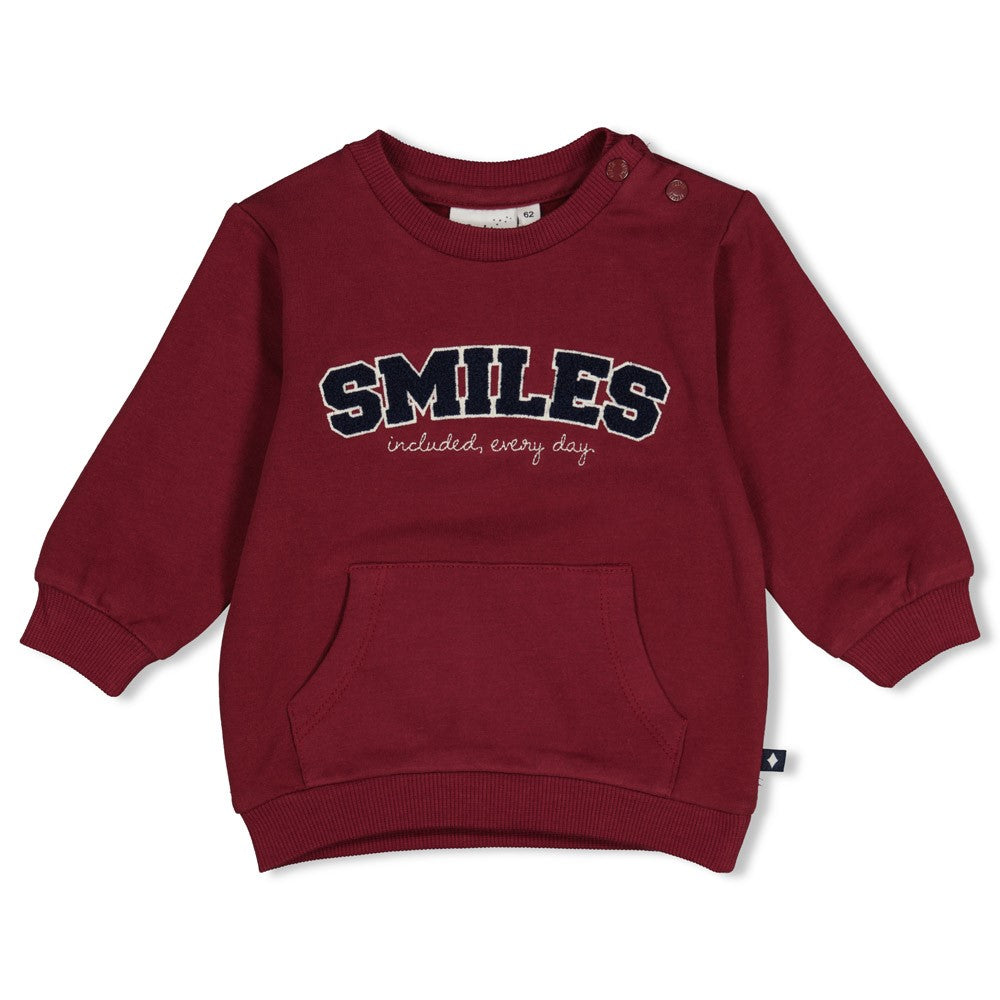 Feetje Baby-Jungen Sweater 51602863 – bordeaux