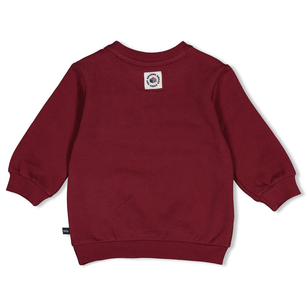 Feetje Baby-Jungen Sweater 51602863 – bordeaux