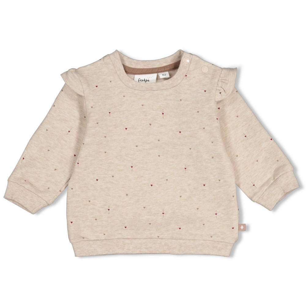 Feetje Baby-Mädchen Sweater 51602914 – taupe melange