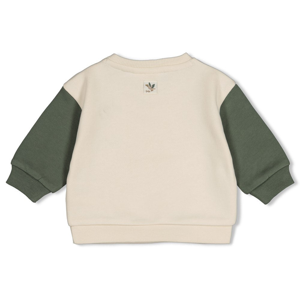 Feetje Baby-Jungen Sweater 51602841 – natur