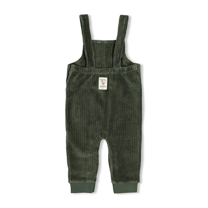 Feetje Baby-Jungen Hose 52000143 – grün