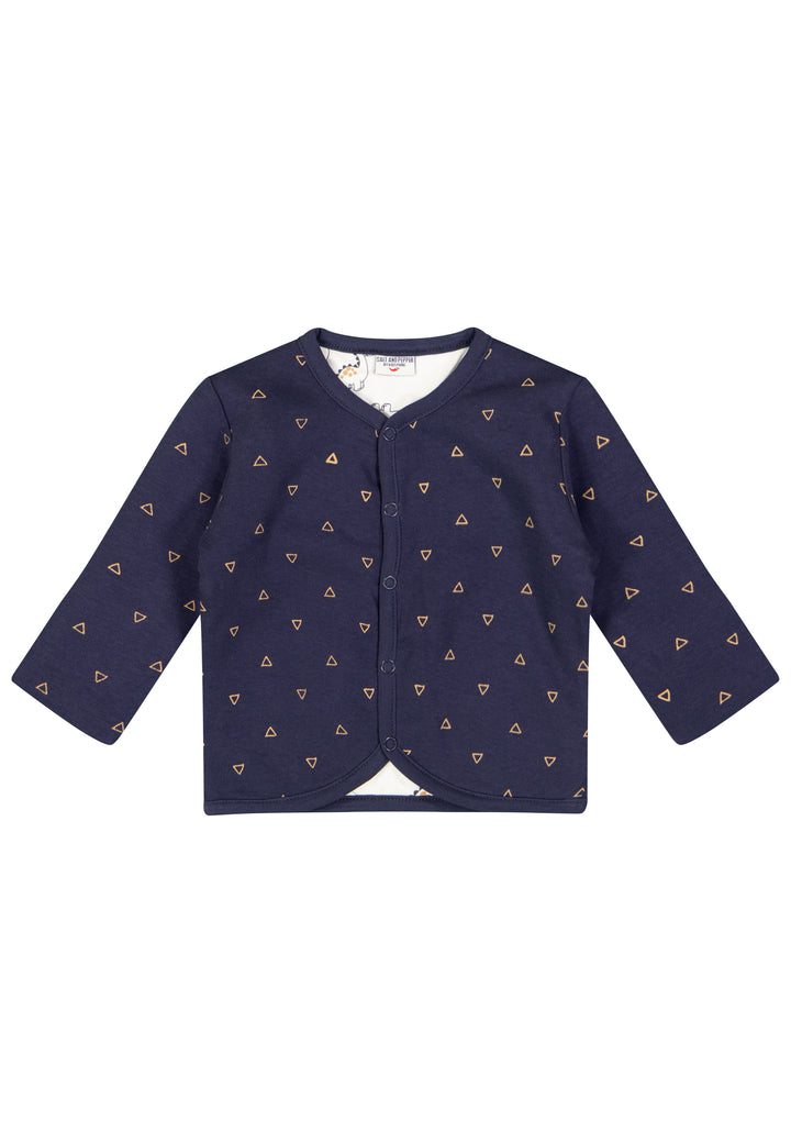 Salt and Pepper Baby Boys Jacket rev. Dino AOP 25218508