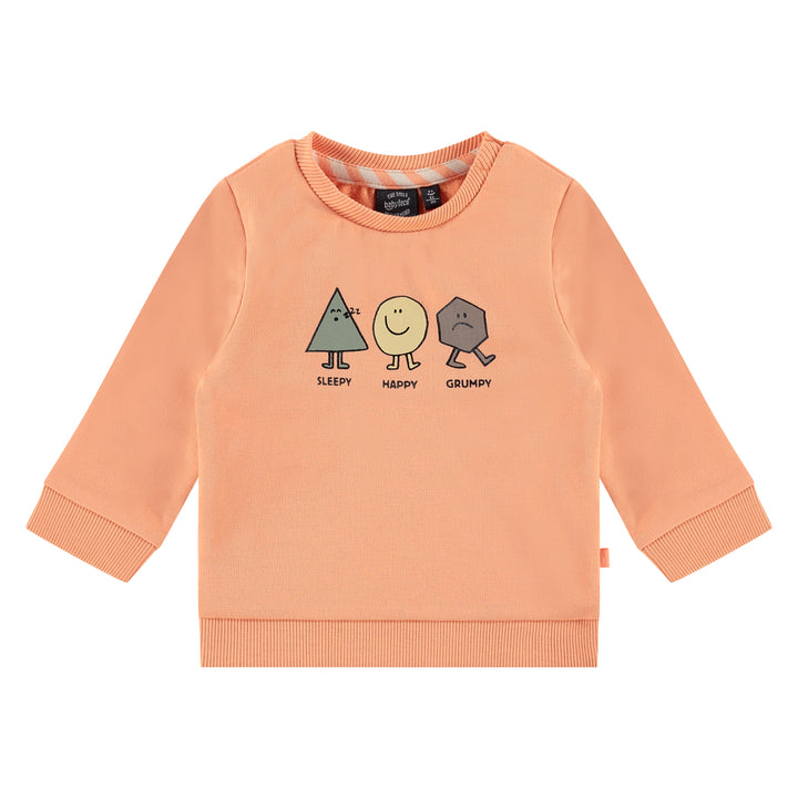Babyface baby boys sweatshirt NWB23127403