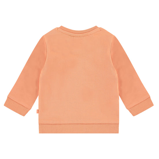 Babyface baby boys sweatshirt NWB23127403