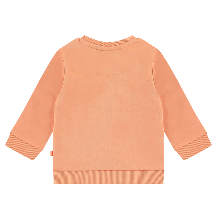 Babyface baby boys sweatshirt NWB23127403