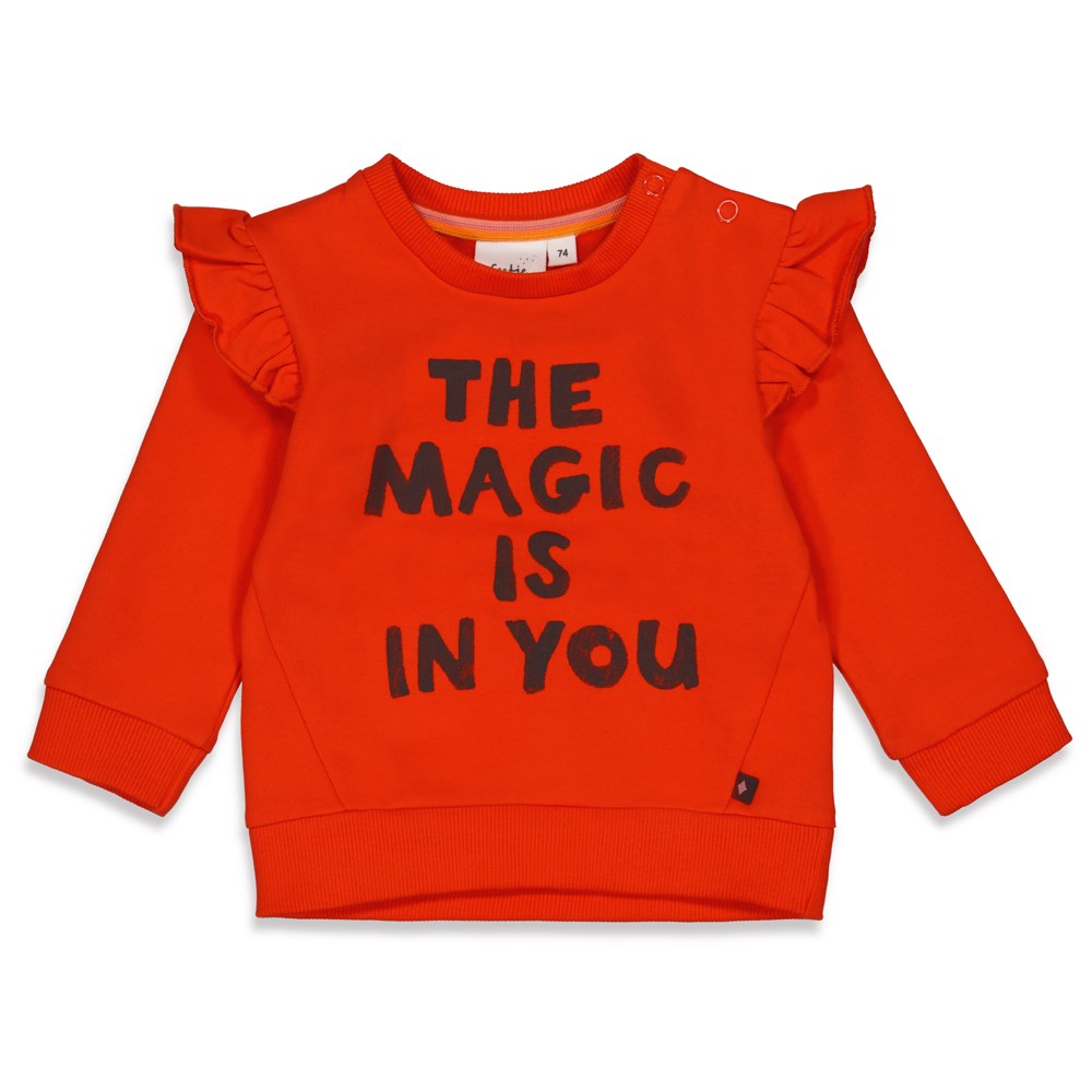 Feetje Baby Girl Sweater - Red Velvet Circus