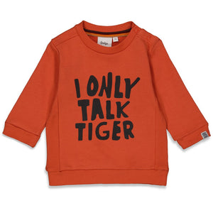 Feetje Baby Boy Sweater - Talking Tiger 51602049