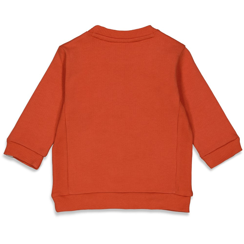 Feetje Baby Boy Sweater - Talking Tiger 51602049