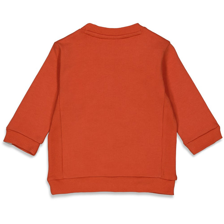 Feetje Baby Boy Sweater - Talking Tiger 51602049
